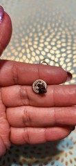 Chan Luu artisan bohemian cluster of charms and dark Brown Leather cord Necklace