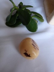Handcrafted Tagua, Celebro Seeds Organic Necklce Brown Bronze made In Ecuador