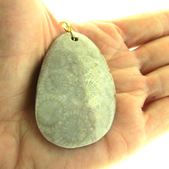 Starburst Ammonite Pendant in Sterling Silver Pendant 1.25*2.25