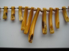 Large Athabaskan Beaver Tooth Necklace and Matching Earrings