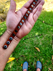 Pyramid stud rivet genuine Buffalo Bison leather bracelet customize to wrist.