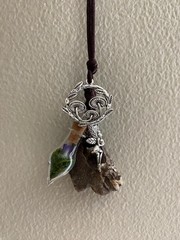 Hag Stone Faerie Mushroom Necklace Vial Moss Dried Purple Flower