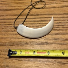 Arkansas Wild Razorback Tooth Pendant Necklace ( #4)