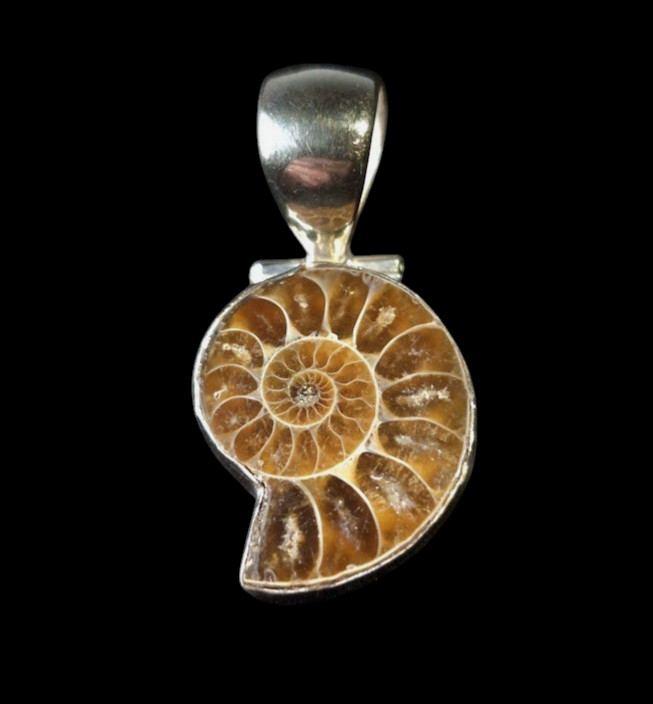 Vintage Ammonite Fossil Pendant 925 Sterling Silver Bezel Spiral Shell 1.75″