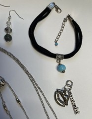 Wise Choice Jewelry Sampler – necklace, 5 prs earrings, bracelet, pendant, charm