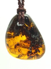 Mexican Amber Pendant 10 g