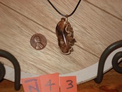 Petrified wood pendant necklace #N43