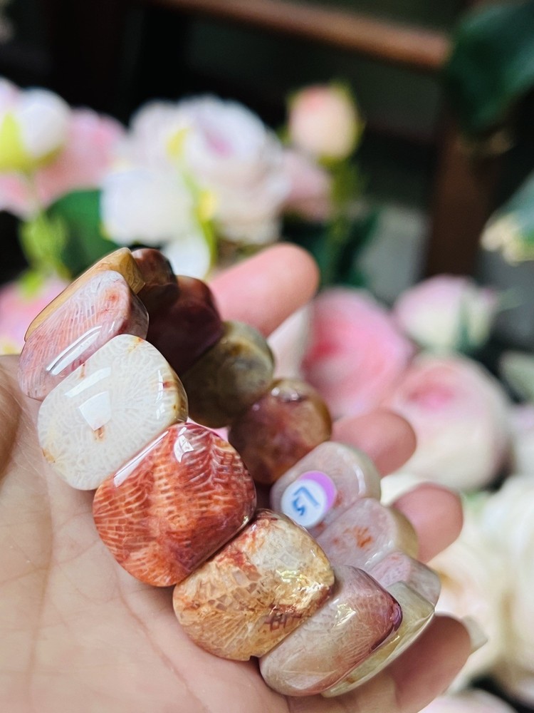 Natural Agatized Coral Fossil Beads Stretch Bracelet