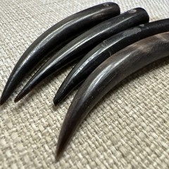 16 Vtg Handmade Curved Water Buffalo Horn Talons Tusk Pendants Jewelry Making