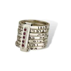 Seven Blessings Kabbalah Ring w/ Rubies In 14K Yellow Gold & 925 Silver Jewelry