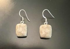 Fossilized Coral Dangle Earrings Stering Silver
