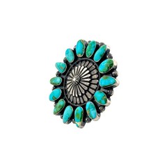 Tom Lewis, Ring, Sonoran Gold, Sterling Silver, Navajo Handmade, 5