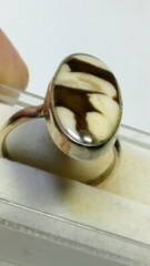 CUTE NATURAL DALMATIAN PETRIFIED WOOD IN STERLING SILVER.925 RING SIZE 6.0-6.25