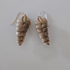 Western Diamondback Rattlesnake Rattle Earrings RE 623