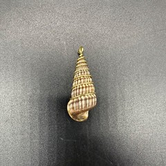 Natural Seashell Pendant Gold Toned Wire Sea Nautical Beach Summer Jewelry