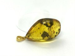 Amber Pendant 3 Insects Fossil Insect Inclusion Silver 925 Gold Plated 5,3g 6065