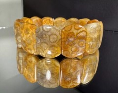HIGH GRADE NATURAL CORAL FOSSIL BRACELET/ VARIOUS FLOWERS PATTERN