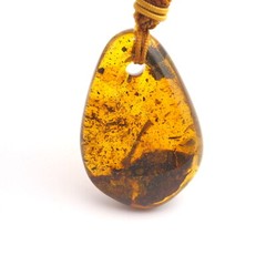 Mexican Amber Pendant with Leaf Inclusion 9.8 g