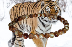 Tiger Eye Stretchable Healing Bracelet for Man/Woman Crystal Bracelet Bead 6mm