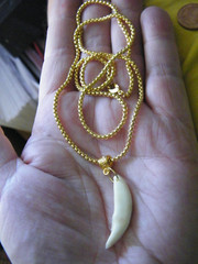 COYOTE Tooth Necklace 1 1/2″ White REAL Teeth 18kt Gold Plate Box 25″ Chain NEW!