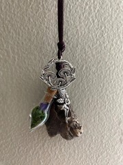 Hag Stone Faerie Mushroom Necklace Vial Moss Dried Purple Flower
