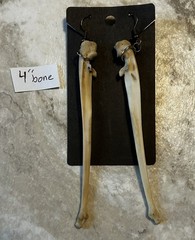 Handcrafted bone earrings