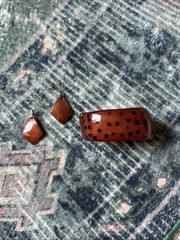 Genuine West African Hand Carved Earrings And Matching Bracelet