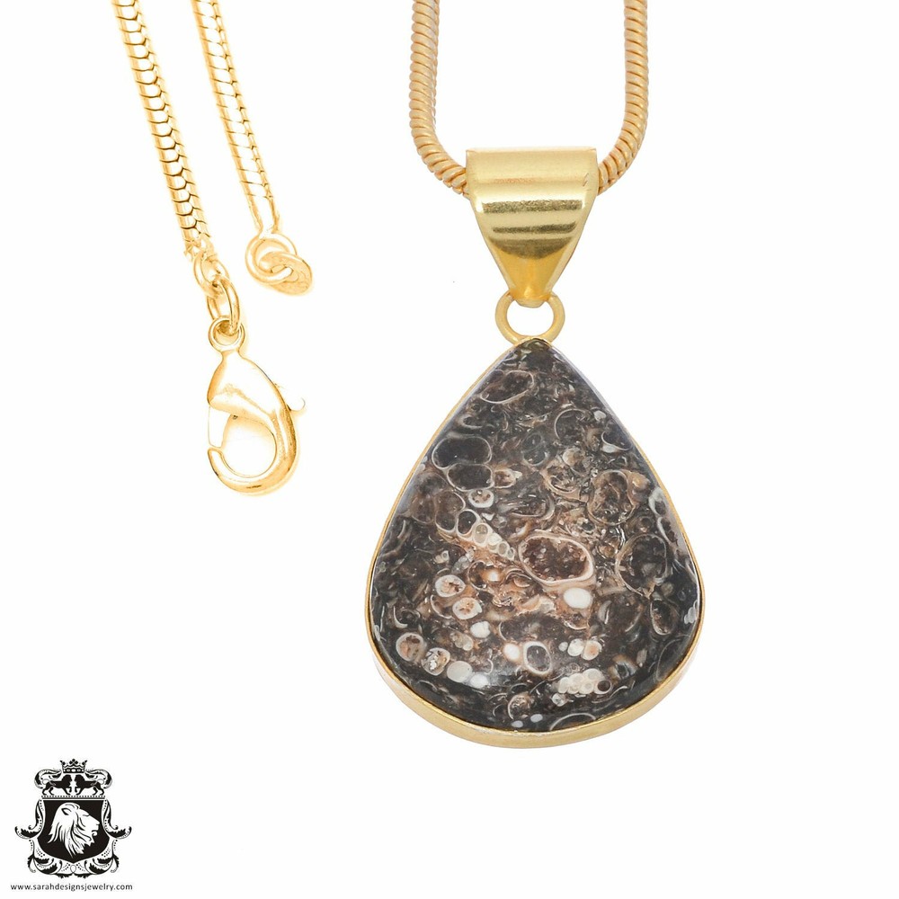 Turritella Agate 24K Gold Plated Pendant 3mm Snake Chain GPH740