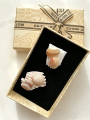 Handcrafted Shell Stud Earrings White Pink Beige Beach Nautical Lobe Post