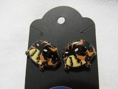 Grumpy Desert Rain Frog Shrinky Dink Stud Earrings Nickel Free Posts