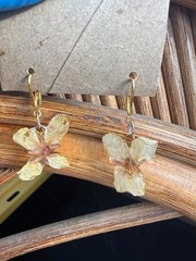 Real Plant Earring Series: White Blossom: $10