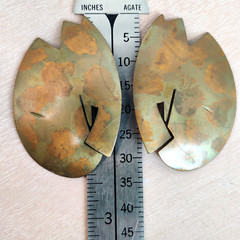 Hilary Packard Clip-On Earrings Large Abstract Statement Patinated Brass Signed