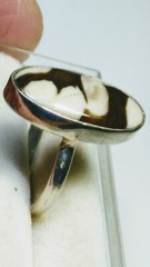 CUTE NATURAL DALMATIAN PETRIFIED WOOD IN STERLING SILVER.925 RING SIZE 6.0-6.25