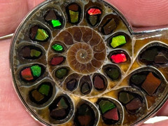 SEE VIDEO:SPECTACULAR RARE,AMMOLITE(CANADA) INLAY IN FOSSIL AMMONITE(MADAGASCAR)