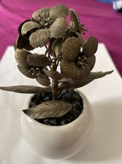 Tiffany Rare 73.2 gr Sterling Silver Flower Pot no original have hallmark