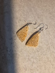 Natural Fossilized Coral Dangle Earrings Stering Silver Ear Wires E14