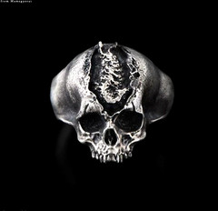 Bloodborne TORCH TORCH Madman’s Knowledge Silver 925 Ring Japan NEW