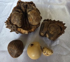 Handcrafted Tagua and ACAI Seeds Organic Necklace, Boutique, IVORY, Ecuador