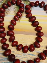 Artisan Crafted Dark Bean and Seed Bead Single Strand Necklace