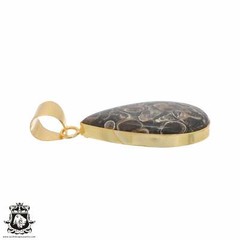 Turritella Agate 24K Gold Plated Pendant 3mm Snake Chain GPH741