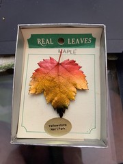 Real Maple Leaf Nature Craft Natural Beauty Preserved Yellowstone Park Old New