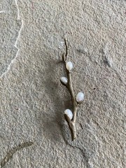 Brooch Pin Bronze Freshwater Pearl Artisan 3 Inch NG