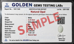 Certified 7.25 Ct Opal Australian Pendant Gemstone Gold Plated Men Women Gift