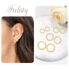 Fcebsty 4 Pairs Small Silver/Gold Hoops Earrings Set for Women Lightweight Ea…