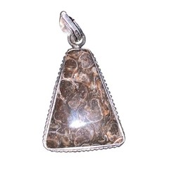 Turritella Fossil Agate Pendent
