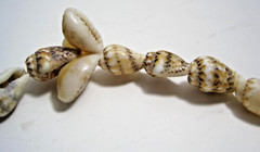 Natural Seashell 2 Necklace Lot Shells Beads Fun Nautical Jewelry Unique 15″ 16″