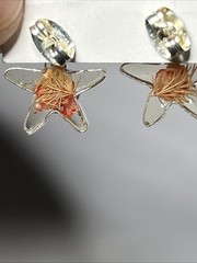 Dried Flower Star Shaped Earrings 925 Sterling