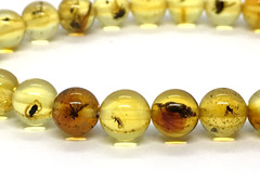 Amber Bracelet INSECT in EVERY BEAD Gift Baltic Round Beads Insects 5,1g 17464