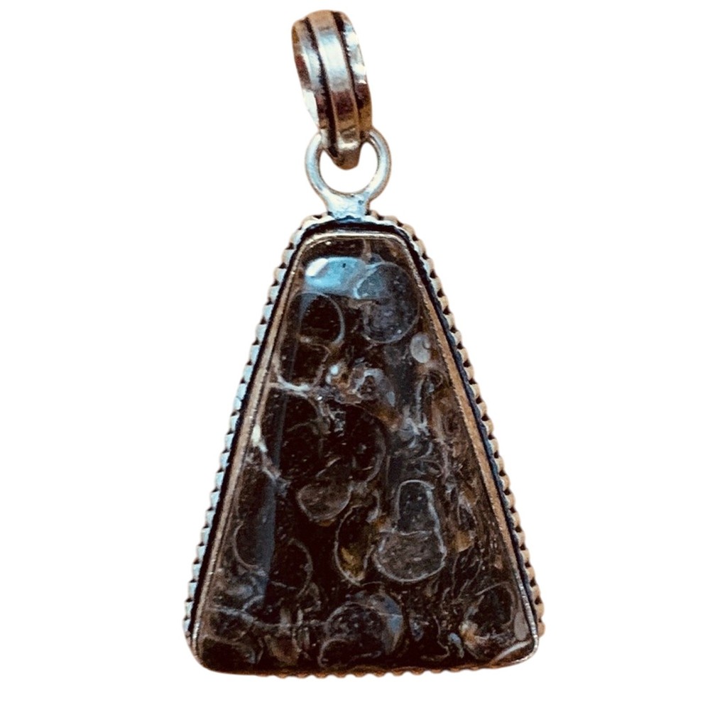 Turritella Fossil Agate Pendent
