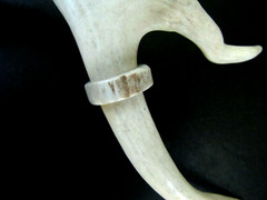 HANDCRAFTED OOAK SHED DEER, ELK ANTLER RING,SIZE 8 3/4, R-427